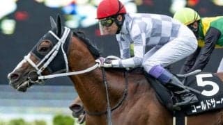 土曜函館メインのTVh杯を分析 攻略には「4歳馬」「1番人気」がキーワード