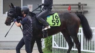 【今日の注目ポイント】福島新馬戦でシンハライトの仔アランカールがデビュー