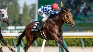 マレーシアCは前走マイル組が狙い 今年は2頭が該当