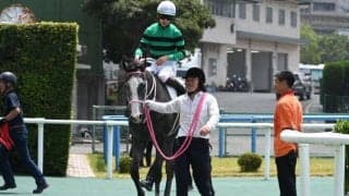 【小倉5R新馬戦結果】トーセンラー産駒キャンディードが初陣飾る