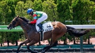 【函館5R新馬戦結果】エムフォーが大差でレコードV フォーウィールドライブ産駒