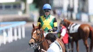 【函館8R】武豊ベビーズブレスが断然の支持に応える