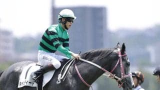 【新馬/小倉5R】トーセンラー産駒 キャンディードがデビューV