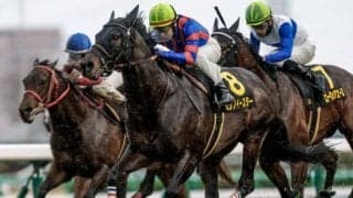 【北九州記念予想】幅広い年齢の馬が活躍するも高齢馬は大苦戦！ 昨年2着の有力馬も該当した消去法データとは