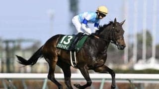【北九州記念前日オッズ】クラスペディアが6.7倍で1番人気