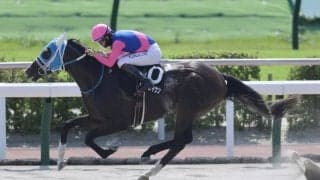 【TAインディア賞】単勝1.2倍メイショウズイウンが人気に応える