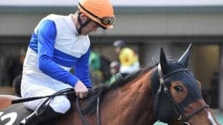 中内田調教師×川田騎手の血統馬 ロードラヴォールがデビューVなるか