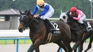 【AI予想・北九州記念】頼もしい鞍上を味方に重賞初制覇へ！ 人工知能は安定感抜群な一頭をチョイス