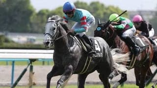 【今日の注目ポイント】小倉で短距離ハンデ重賞・北九州記念