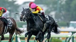 【大沼S】逃げ馬が好成績 軸として安定感のある年齢は？