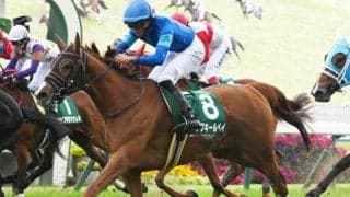 【北九州記念予想】荒れるハンデ戦にも明確な指針あり?! 過去データから探るGIII北九州記念