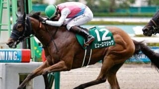 【北九州記念】上位人気不振で波乱傾向 前走1着馬が軸に最適