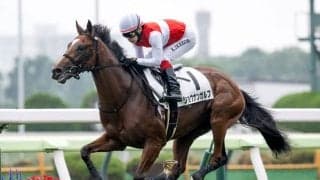 【函館5R新馬戦結果】ショウナンガルフが7馬身差V ハービンジャー産駒の2億円ホース