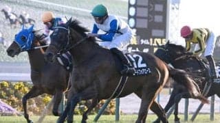 【北九州記念・馬体重】ロードフォアエースは552kg(+8)、ヤマニンアルリフラは496kg(+14)