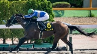 【大沼S結果】ペリエールが好位から抜け出し約2年ぶりのV