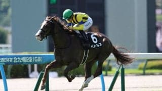【九州スポーツ杯】良血ベトルスが完勝…3着以下には大差