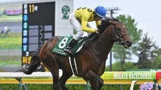 福島で伝統のハンデ重賞・七夕賞/今週の競馬界の見どころ