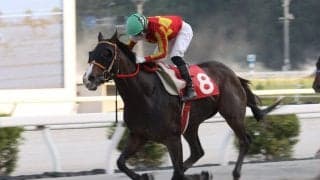 【高知・ヴェガ特別】ミニョンが力強く抜け出してV