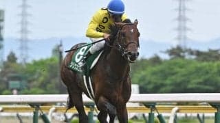 【七夕賞見どころ】シリウスコルトが重賞連勝を狙う