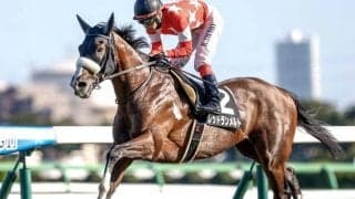 【先週のJRA抹消馬】芝中距離で4勝のレッドランメルト、昨年の小倉SJ覇者ロスコフなど