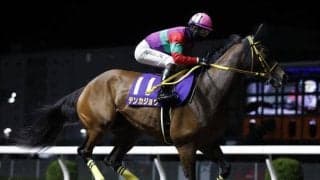 【川崎・スパーキングレディーC枠順】重賞連勝中のテンカジョウは8枠9番