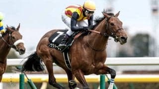 【AI予想・七夕賞】小回り福島の難解なハンデ戦！ バラエティに富んだ人工知能の本命候補とは