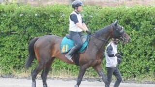 半姉はマイルGI・3勝のソングライン ガードオブオナーが日曜福島で初陣/関東馬メイクデビュー情報