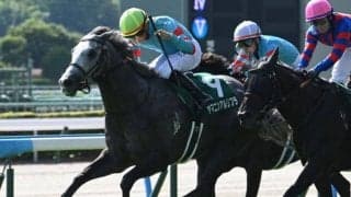 スプリント戦で強さをみせるヤマニンアルリフラ 背景には母から受け継いだスピード色の強い血