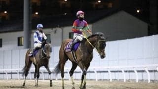 【スパーキングレディーC】テンカジョウは8枠9番へ