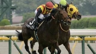 【七夕賞展望】好走データに該当するドゥラドーレスに注目