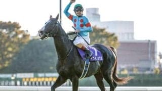 セレクトセール初登場のイクイノックス産駒 今年の注目上場馬は？