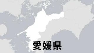 新田が6年ぶり11回目の優勝、四国大会へ　高校軟式野球県大会