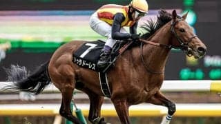 【七夕賞】戸崎圭太騎手が歴代単独トップの5勝目へ ドゥラドーレスを重賞初制覇に導くか