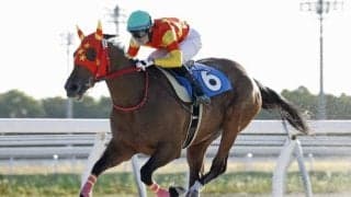 バレンタインケーキが連勝 コスモス賞の優先出走権獲得