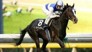 27年ぶりに1番人気の戴冠 ダイワレイダースの七夕賞