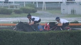 ラスカンブレス、小倉記念1週前追い切り速報/栗東トレセンニュース