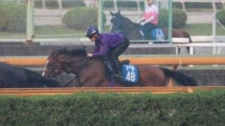 メリオーレム、小倉記念1週前追い切り速報/栗東トレセンニュース