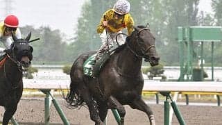 【小倉記念想定】カラテやエピファニーなど15頭