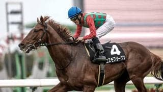 【七夕賞】柴田大知騎手が約4年7カ月ぶりのJRA重賞制覇なるか コスモフリーゲンで一発狙う