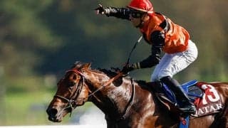 父に無敗の凱旋門賞馬やJpnI覇者など セレクトセールの“レア産駒”を紹介