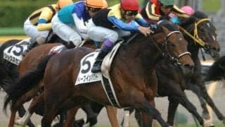 金子真人オーナーがセレクトセールで落札した名馬たち