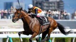 【七夕賞予想】大敗直後の馬には疑いを AIは思い切った一頭を指名