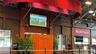 最高額は5.9億円 昨年のセレクトセール落札価格ランキング