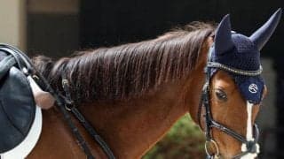 11日、13日に三木ホースランドパークで「引退競走馬杯」 重賞・オープンでの活躍馬も数多く出場