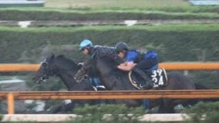 ディープモンスター、小倉記念1週前追い切り速報/栗東トレセンニュース