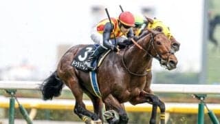 【七夕賞出走馬・騎手確定】ドゥラドーレス＆戸崎圭太騎手、シリウスコルト＆古川吉洋騎手など15頭