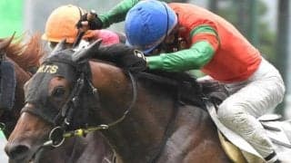 「ステイゴールド産駒」のマイネルヴァッサー JRA史上最高齢勝利記録なるか