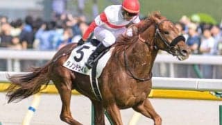 セレクトセール歴代購入価格歴代1位 ダノックスが落札した名馬たち