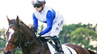 ダノンスマッシュ半弟ロードオールライト 芝2600mで連勝なるか