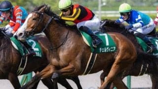 半姉はGI・2勝のチェルヴィニア チェルヴァーラがデビュー勝ち狙う